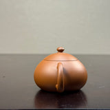 Chaozhou Xishi 西施壶, 70mL
