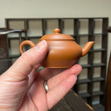 Chaozhou Meng Chen Teapot by Hu Ting, 95mL